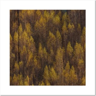 Autumn Woods Posters and Art